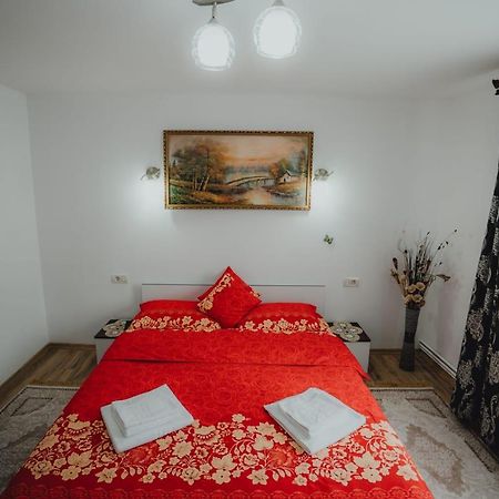 Casa Andreea Si Grigore Ursu Borşa Zewnętrze zdjęcie
