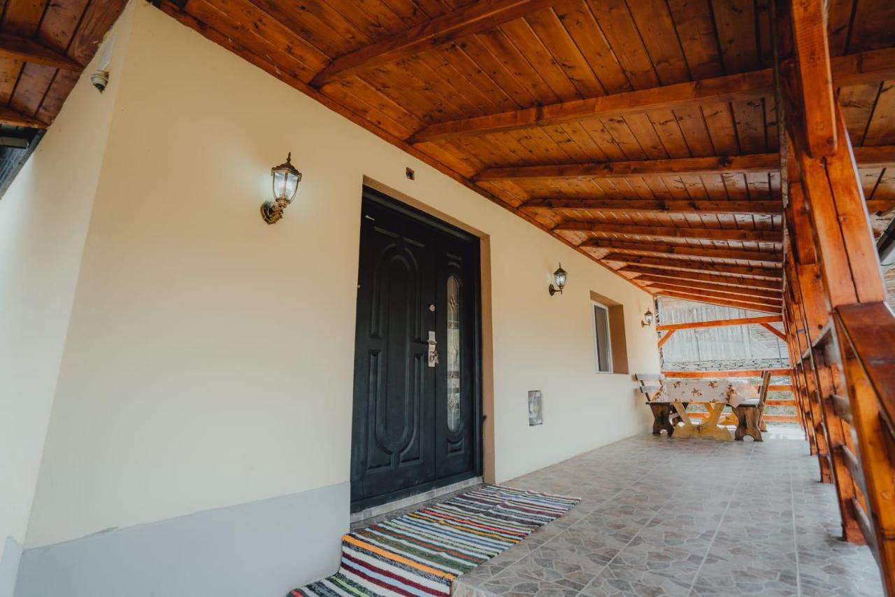 Casa Andreea Si Grigore Ursu Borşa Zewnętrze zdjęcie